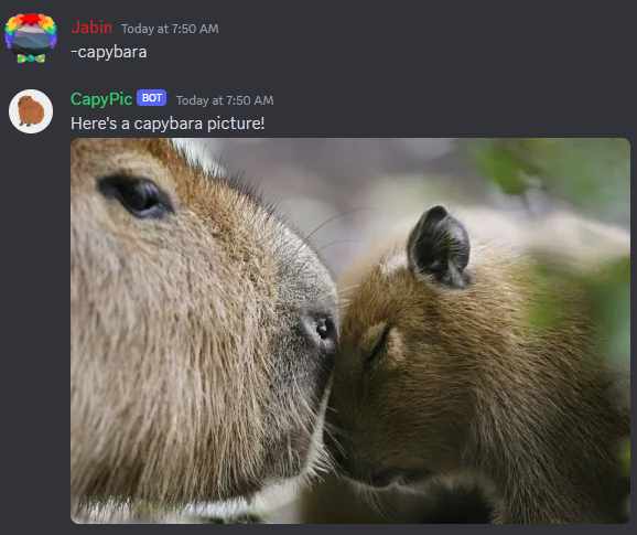 capybara command